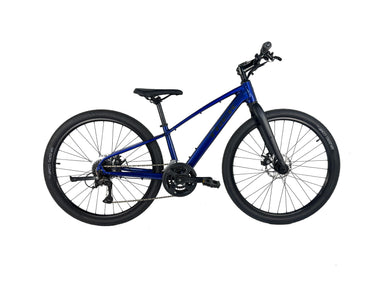 Trek Dual Sport 1 2025 Talla M