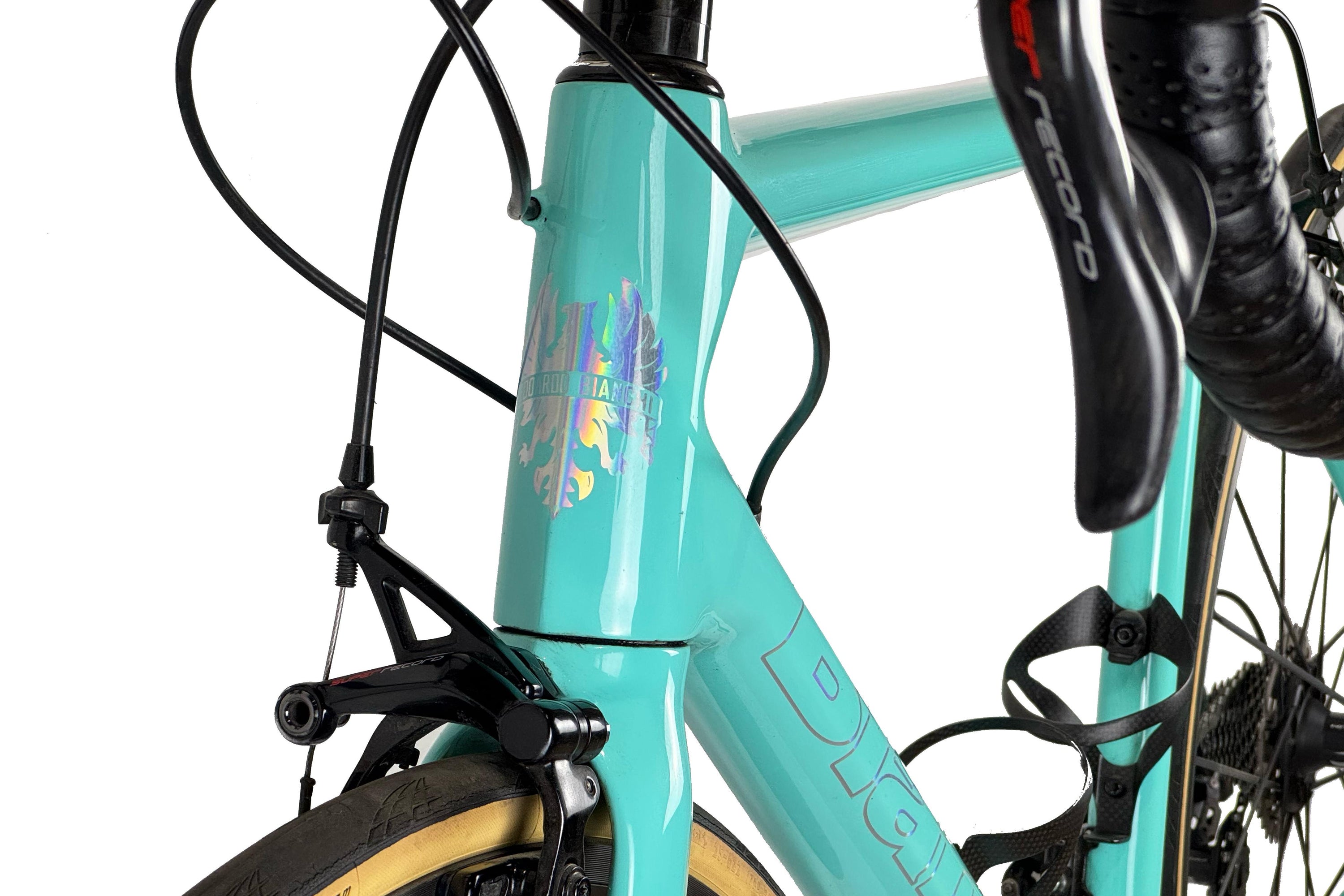 Bianchi Specialissima 2019 Talla 55