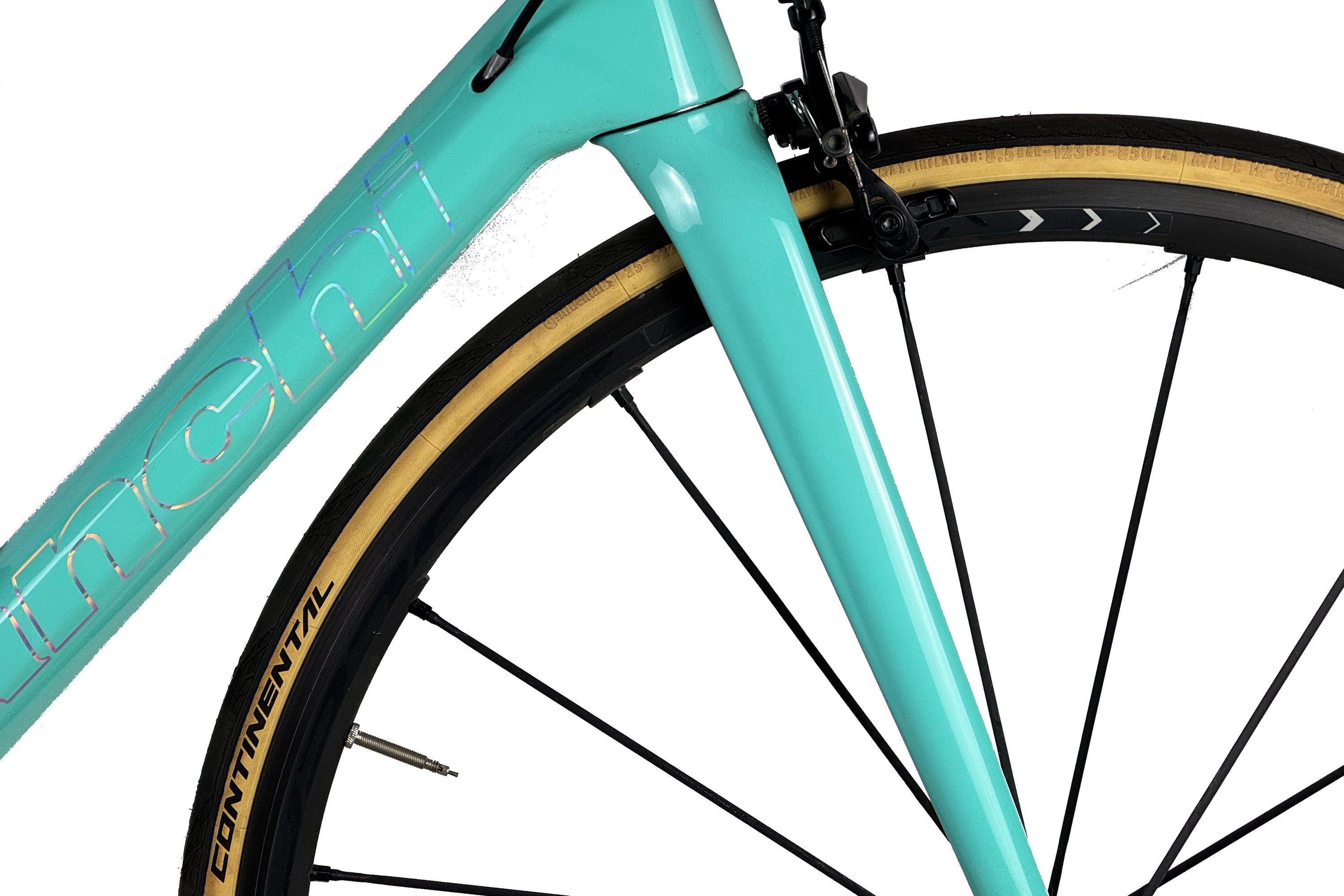 Bianchi Specialissima 2019 Talla 55