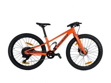 Specialized Riprock Coaster 2024 Talla 24