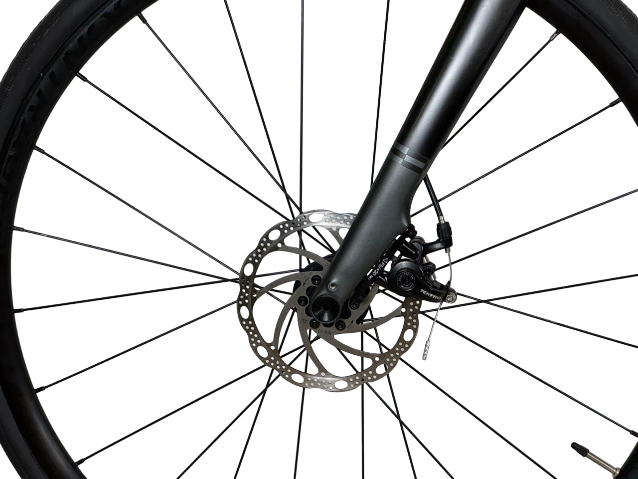 Trek Domane AL 2 Disc 2025 Talla 52