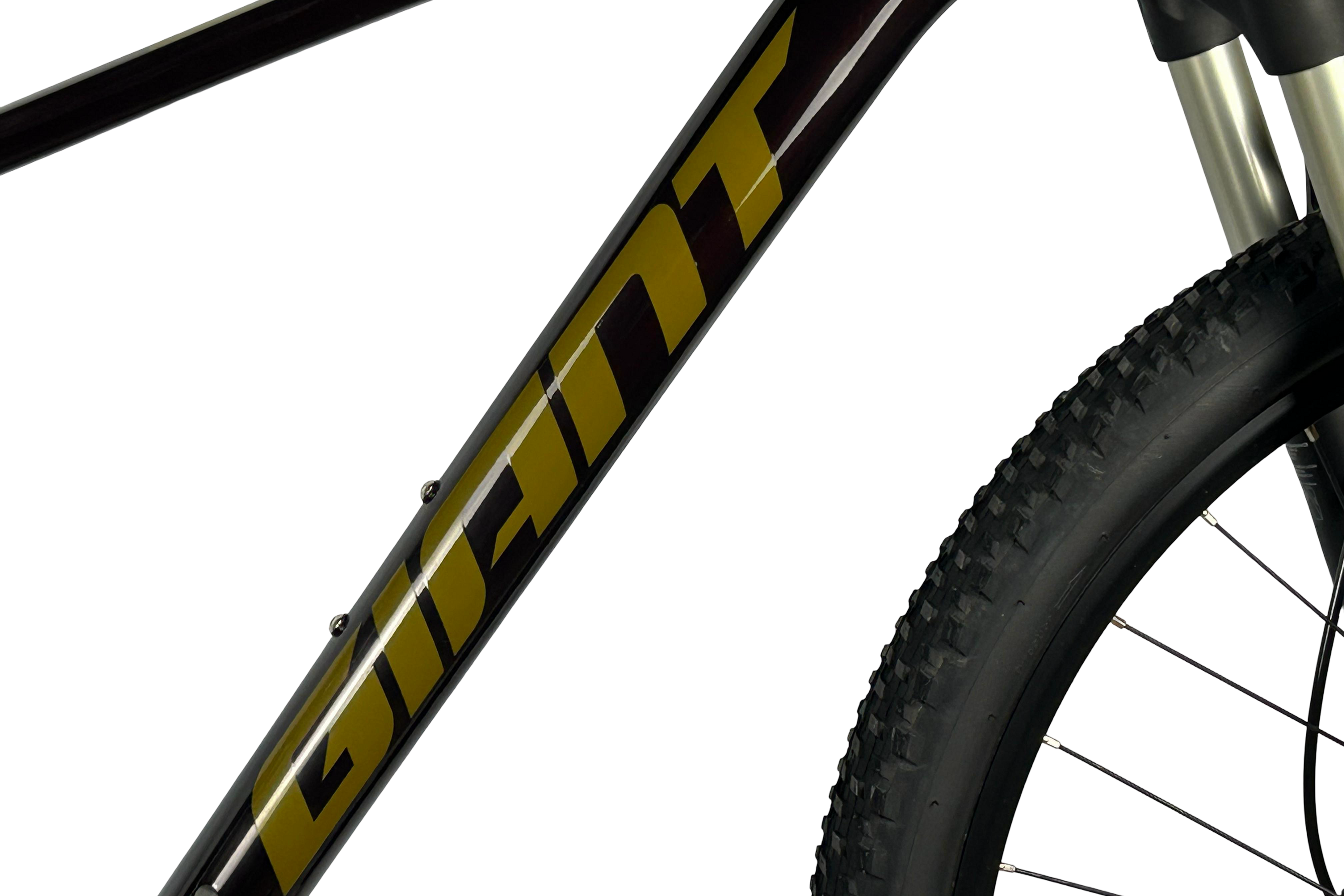 Giant Talon 1 2024 Talla M