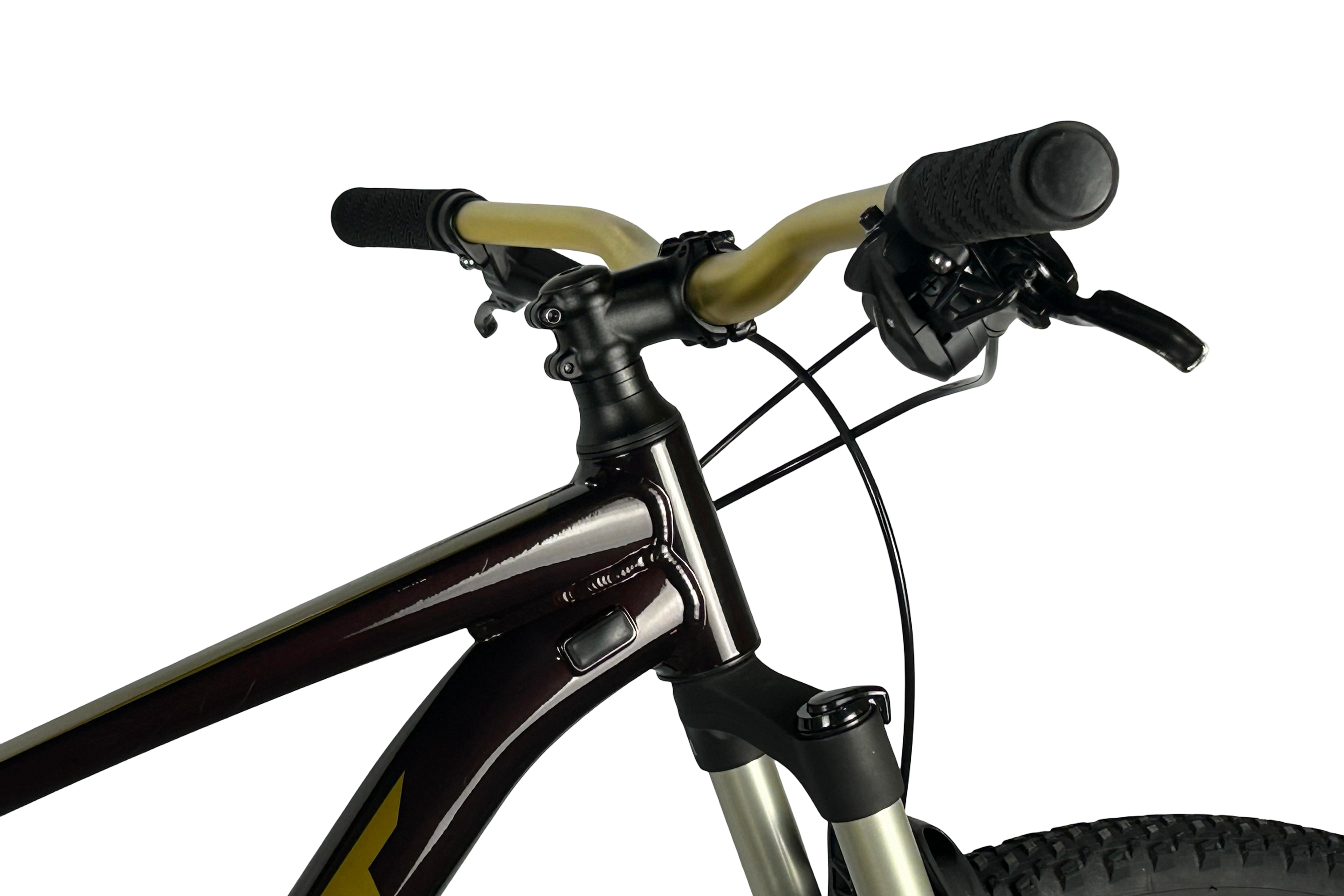 Giant Talon 1 2024 Talla M