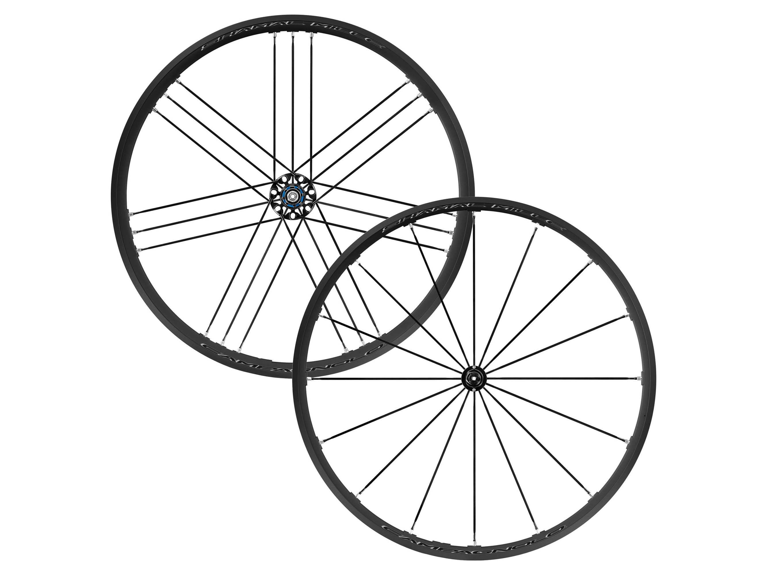 Rines Campagnolo Shamal Mille